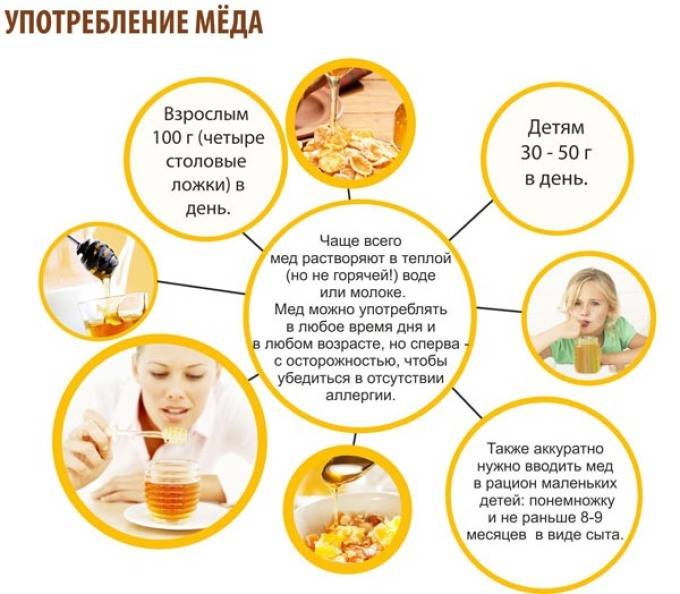 Можно ли давать мед грудничкам: польза и вред нектара