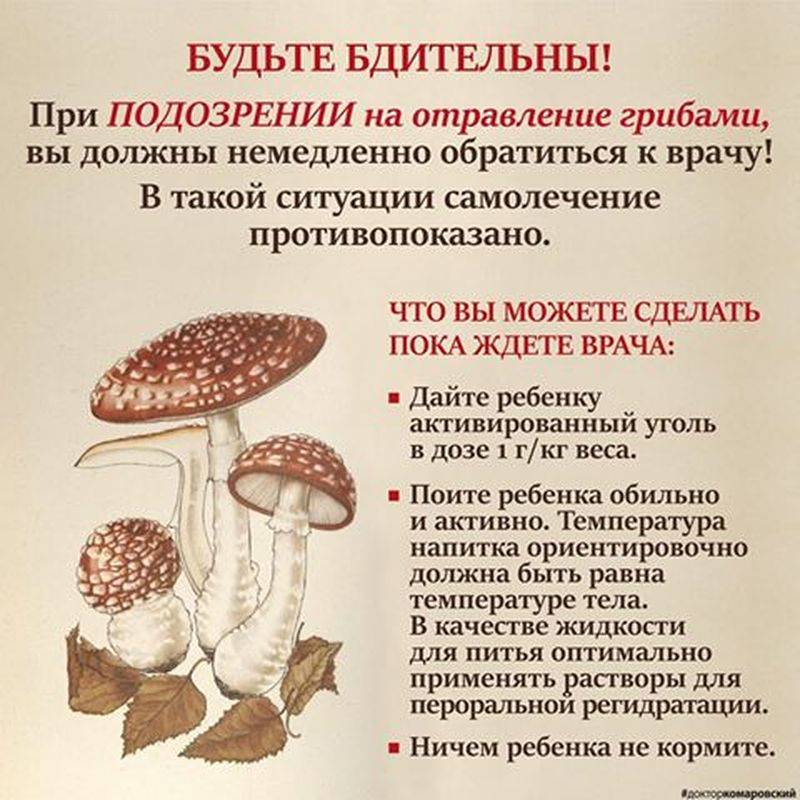 Аллергия на грибы | энтеросгель