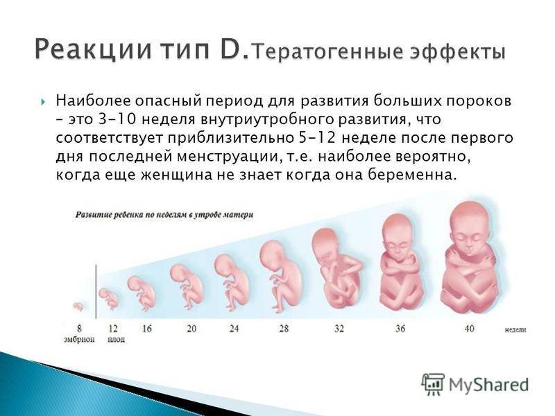 Самые опасные недели и периоды беременности в 1, 2, 3 триместре