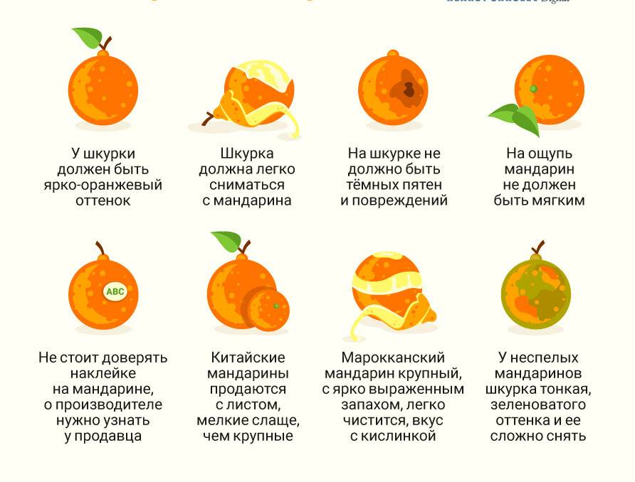 Как выбрать и хранить мандарины в домашних условиях