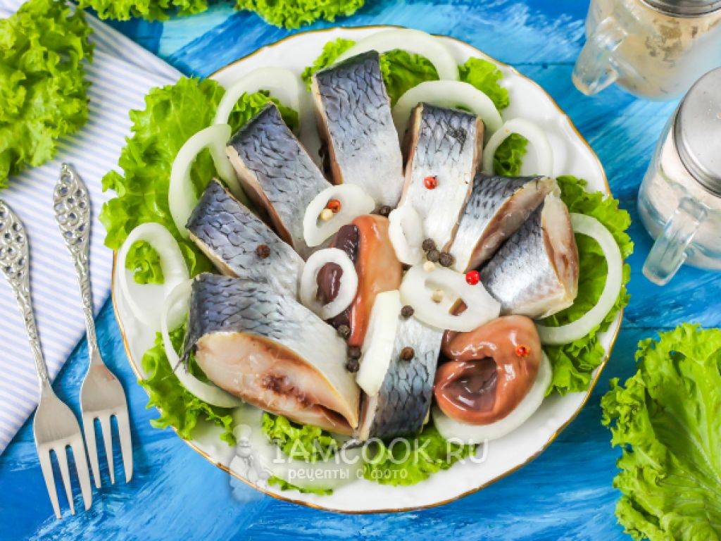 Можно ли селедку при гв: польза и вред соленой рыбы