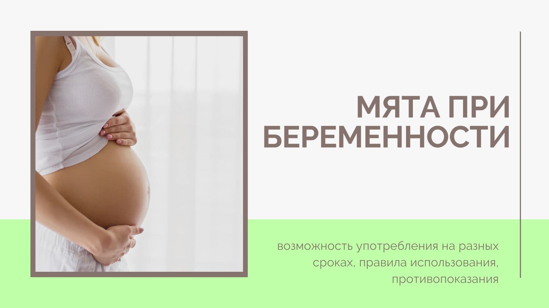 Мята при беременности: польза или вред