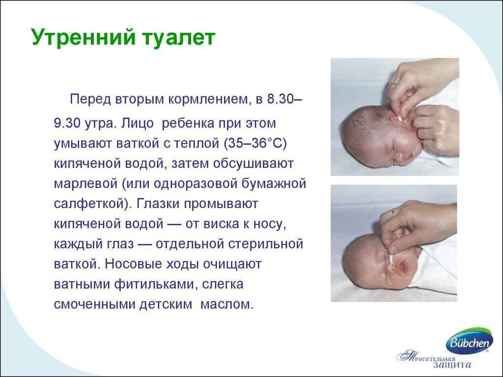Утренний туалет новорождённого: проведение необходимых ежедневных процедур и советы по уходу за ребенком