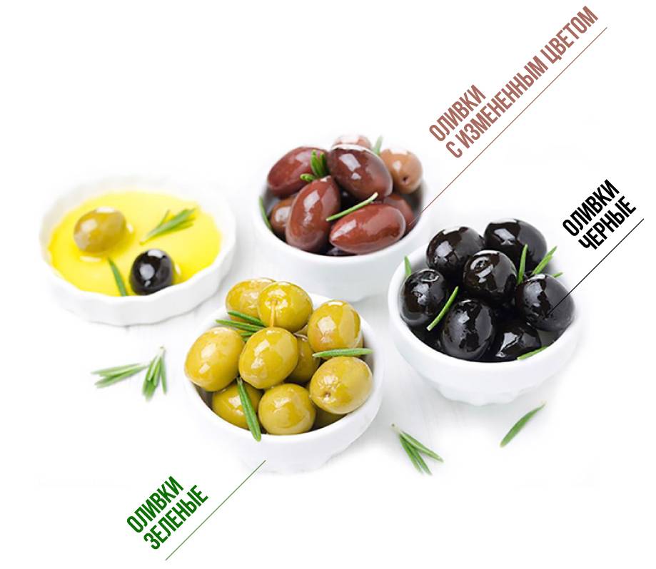 Оливки (маслины): чем полезны и вредны для организма человека? состав и калорийность, показания и противопоказания к применению