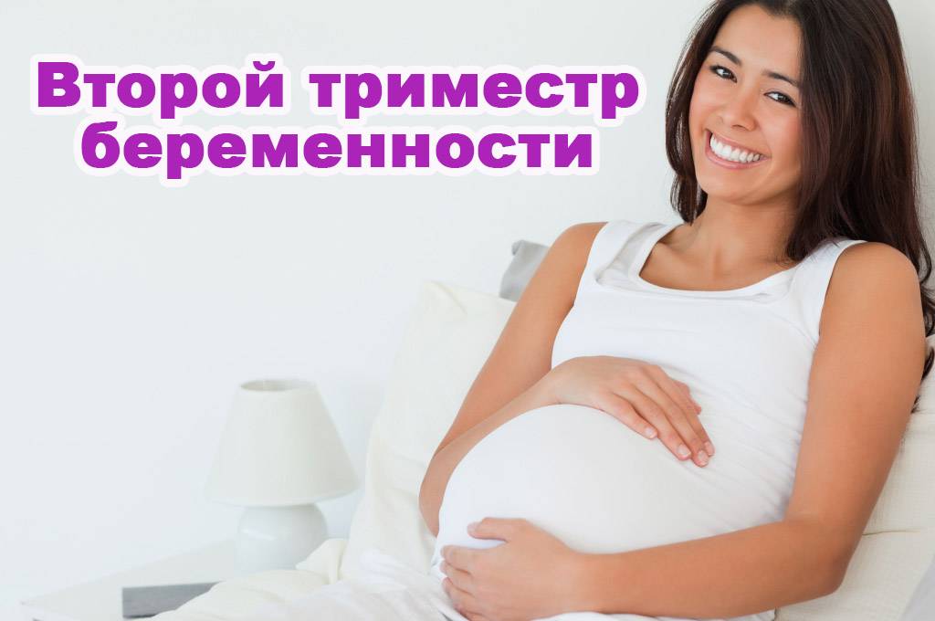 С какой недели начинается 2 триместр беременности - клиника гармония