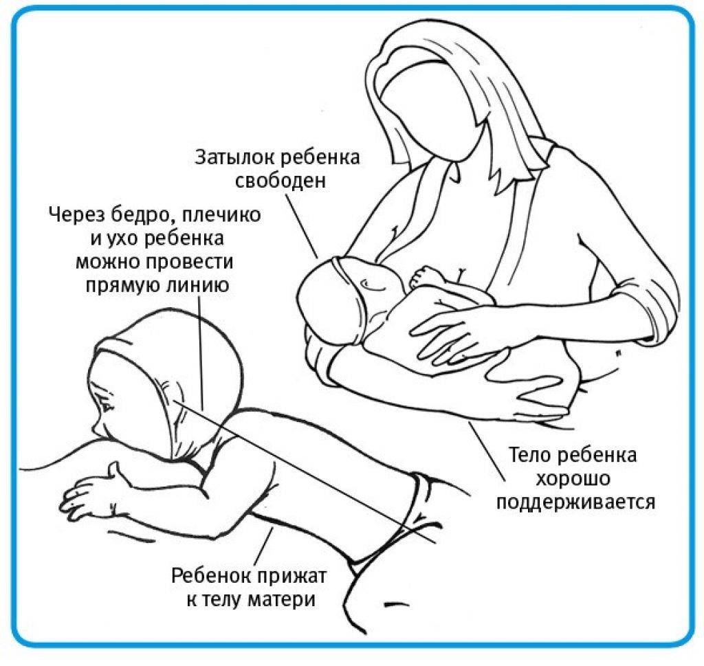 Сколько по времени ребёнок должен сосать грудь чтобы не остаться голодным - инструкция для молодых мам