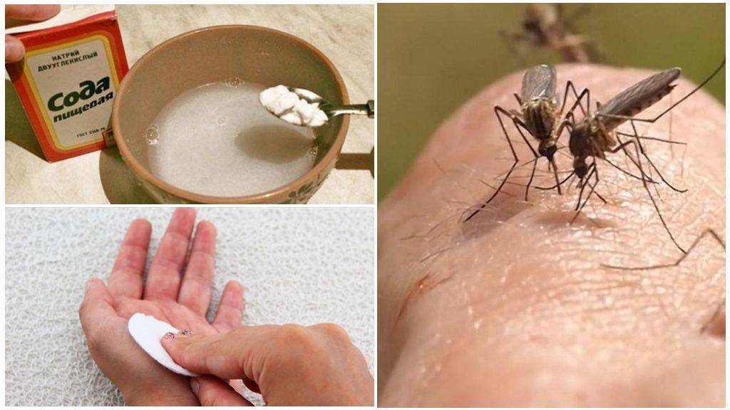 Средства от укусов комаров у детей: народные и промышленные