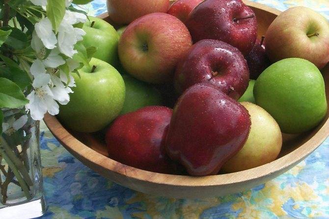Шарлотка с яблоками для кормящих мам: можно ли пирог при гв, когда вводить в рацион во время грудного вскармливания, и полезные рецепты