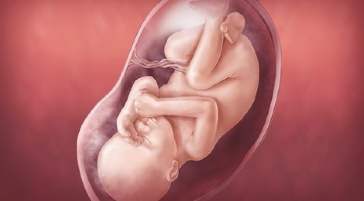 Ковид во время беременности: симптомы и последствия