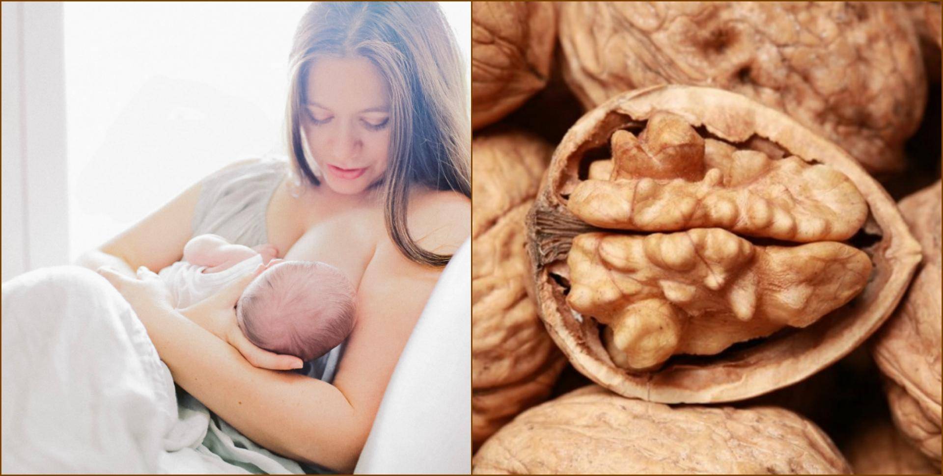 Орехи при грудном вскармливании ребёнка — можно ли?