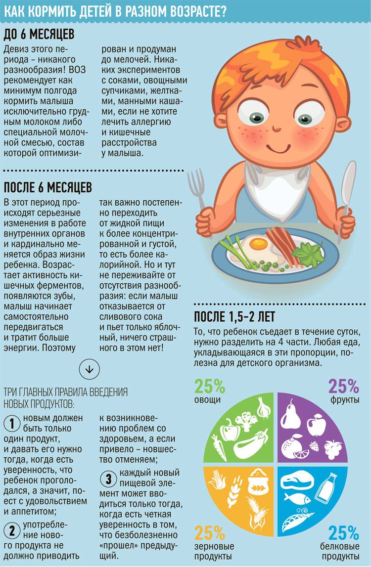 Опасные продукты для ребенка:  что нельзя давать в первый прикорм и детям до трех лет