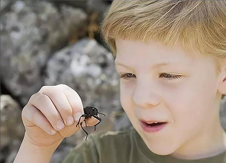 Энтомофобия. что делать, если ребенок боится насекомых?