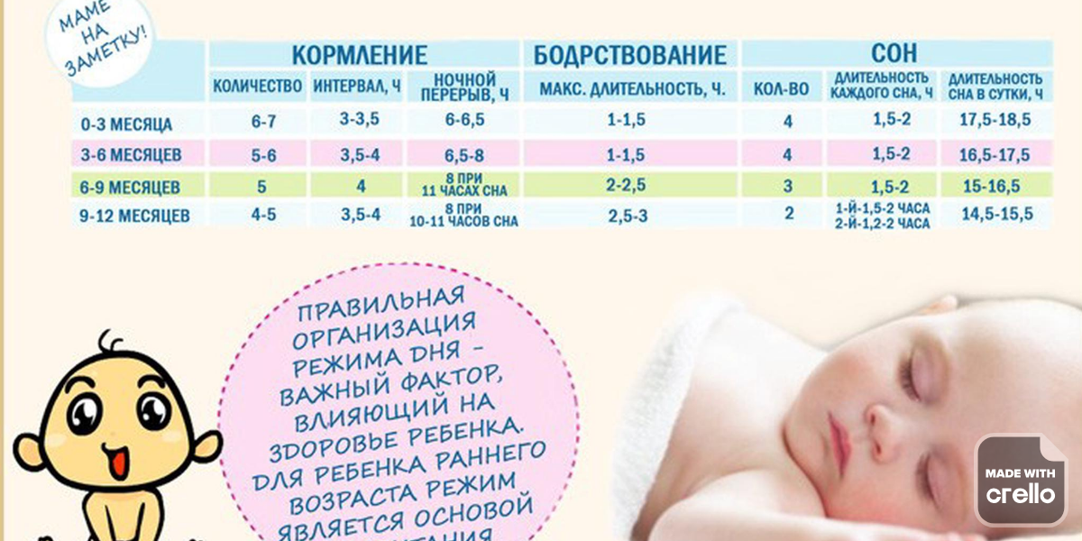 Режим дня ребенка в 1 год: питание, сон и распорядок дня малыша в 12 месяцев