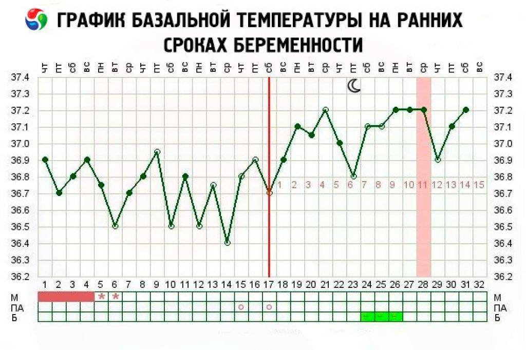 Температура на 25 неделе