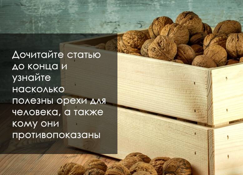 Польза грецких орехов с медом для здоровья