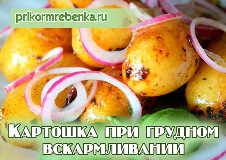 Картошка при грудном вскармливании: можно ли кормящей маме жареный картофель, пюре?