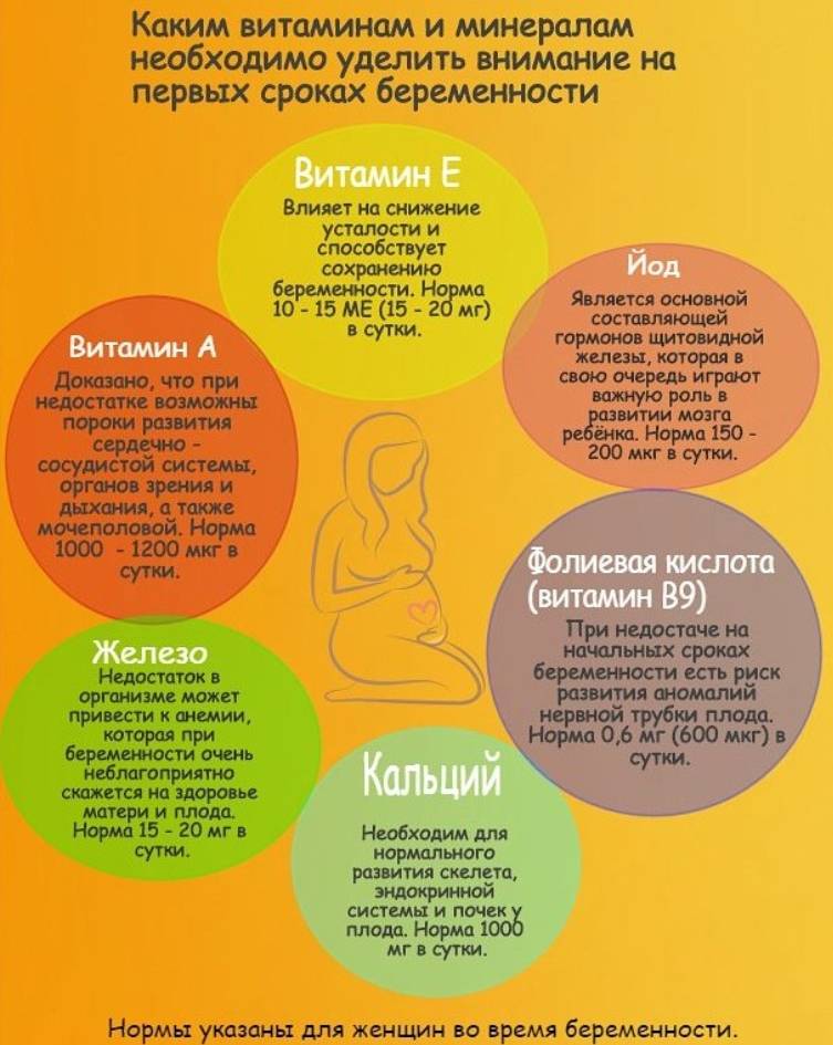 Правильное питание в первый триместр беременности • центр гинекологии в санкт-петербурге