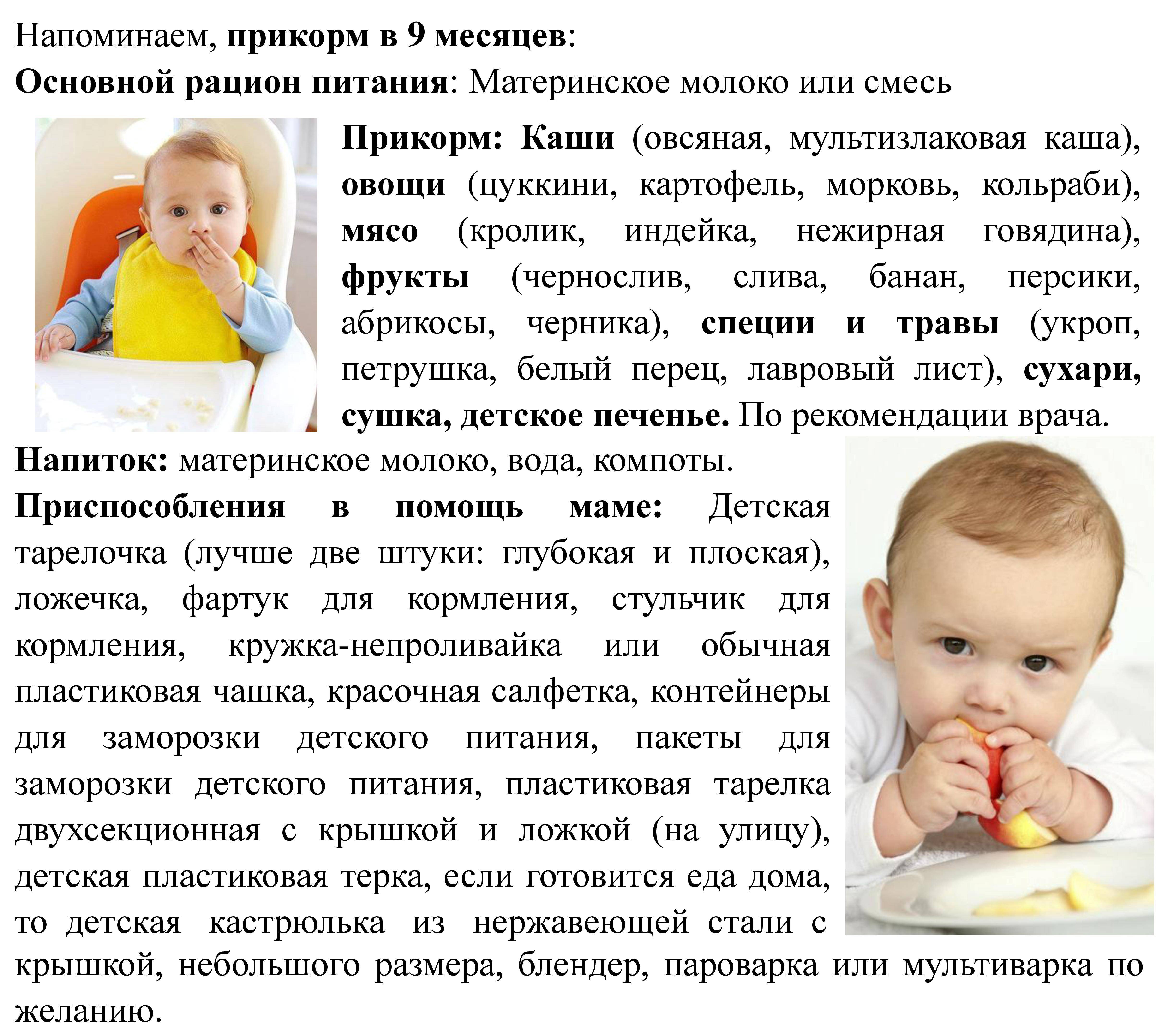 Грудное вскармливание и прикорм: чем и как кормить малыша в 8-9 месяцев / гид для родителей – статья из рубрики "как накормить" на food.ru