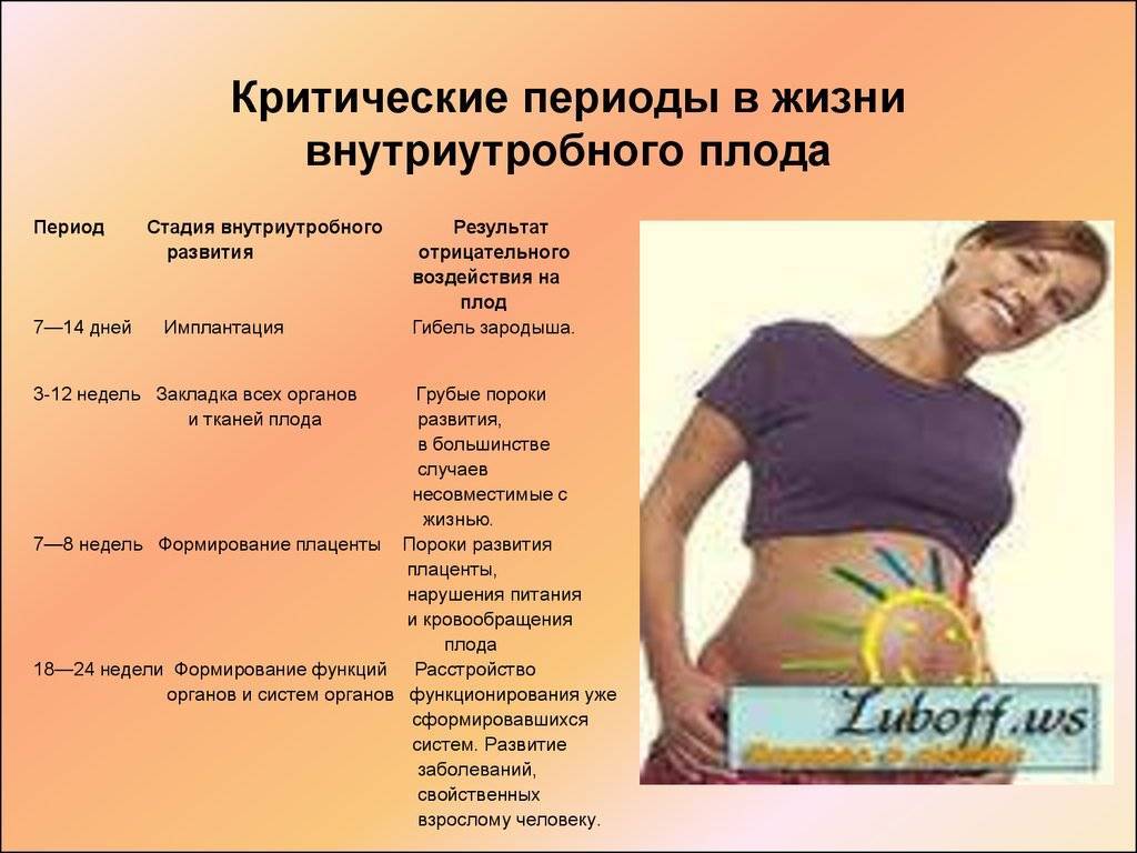 ᐉ самые опасные недели беременности по триместрам. критические периоды беременности - ➡ sp-kupavna.ru