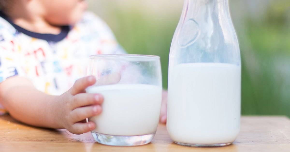 Козье молоко детям до года. может ли быть аллергия на козье молоко. | nutrilak