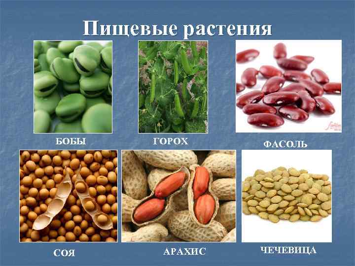 Прикорм по месяцам | nutrilak
