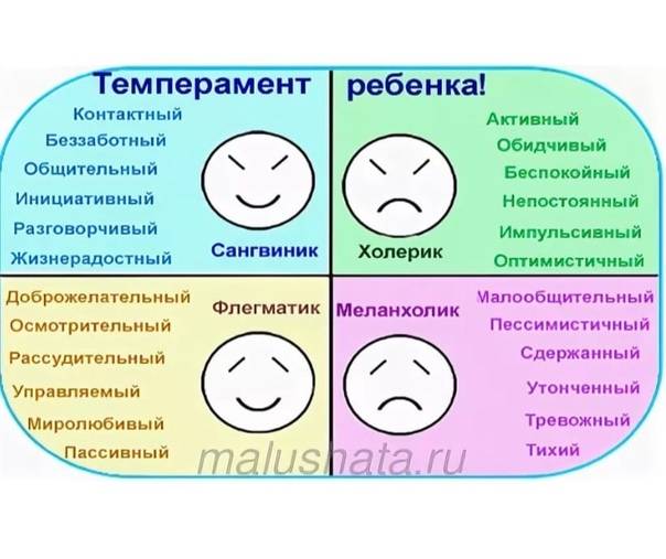 Какой тип темперамента у ребенка?