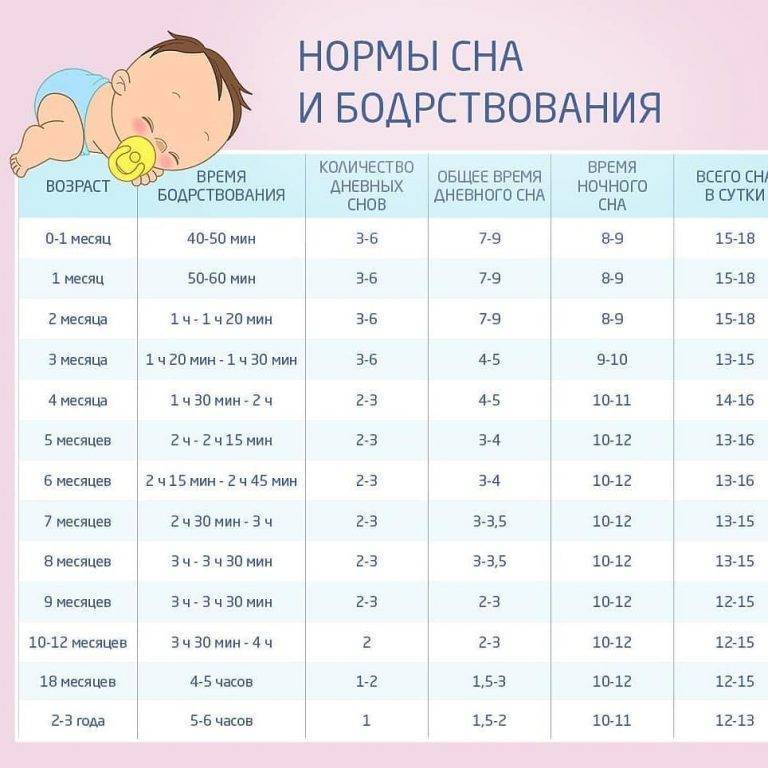 Сколько должны спать дети: в 1, 2, 3, 4, 5, 6, 7, 8, 9, 10, 11 месяцев
