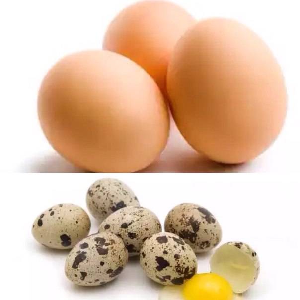 Можно ли есть яйца при грудном вскармливании :: syl.ru