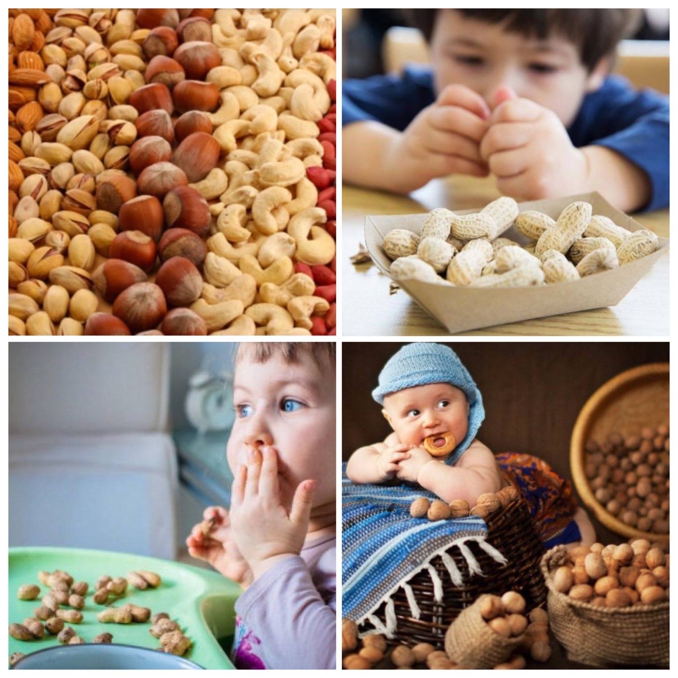 Какие орехи можно давать детям