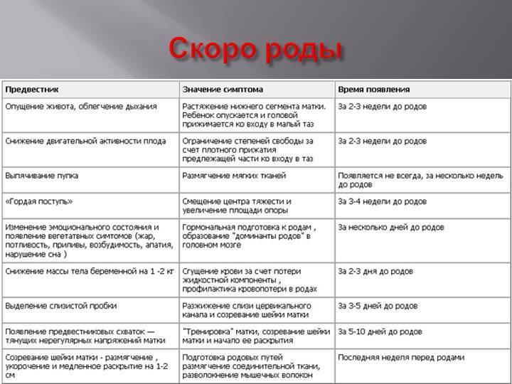 Предвестники родов на 39 неделе беременности. Роды предвестники родов. Период предвестников родов.