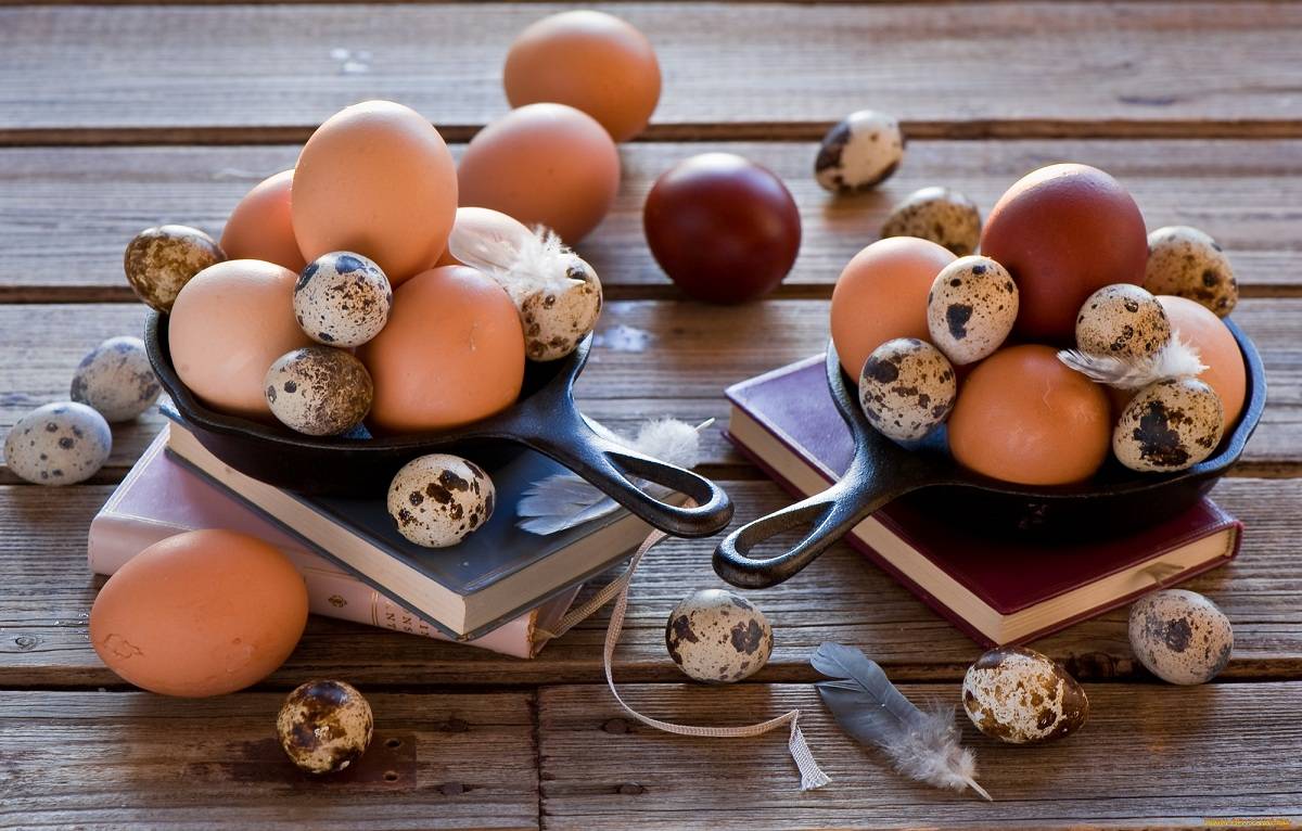 Яйца при грудном вскармливании: жареные, вареные, правила употребления