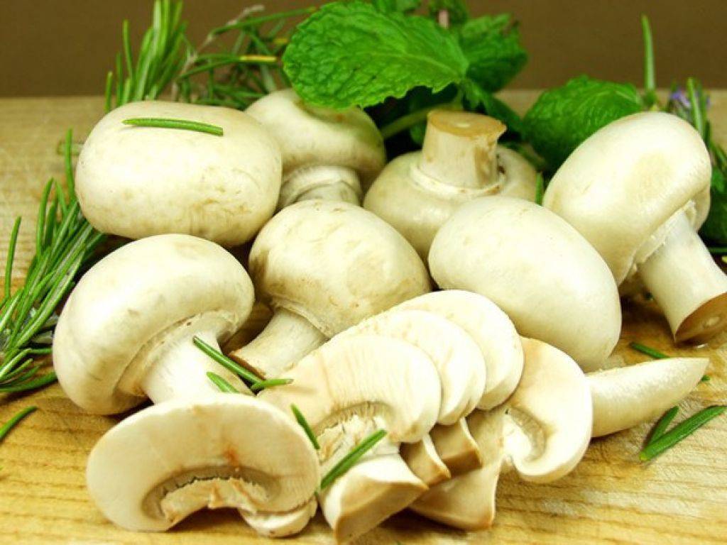 Можно ли грибы и грибной суп при грудном вскармливании