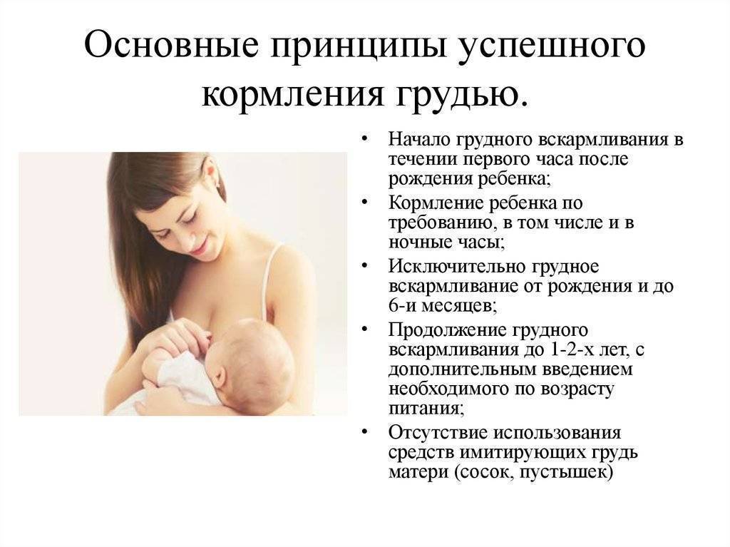 Как подготовить грудь к кормлению ребенка: разработка молочных желез
