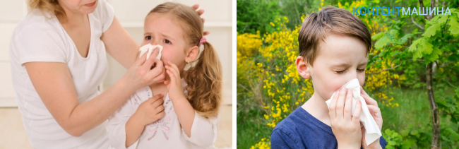 Аллергический ринит у детей - симптомы болезни, профилактика и лечение аллергического ринита у детей, причины заболевания и его диагностика на eurolab