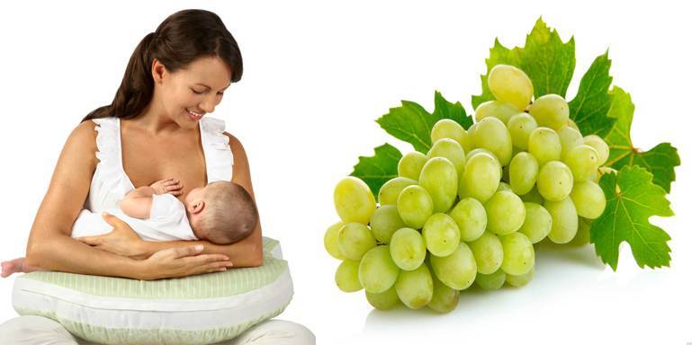 Виноград при грудном вскармливании новорожденных - можно или нет