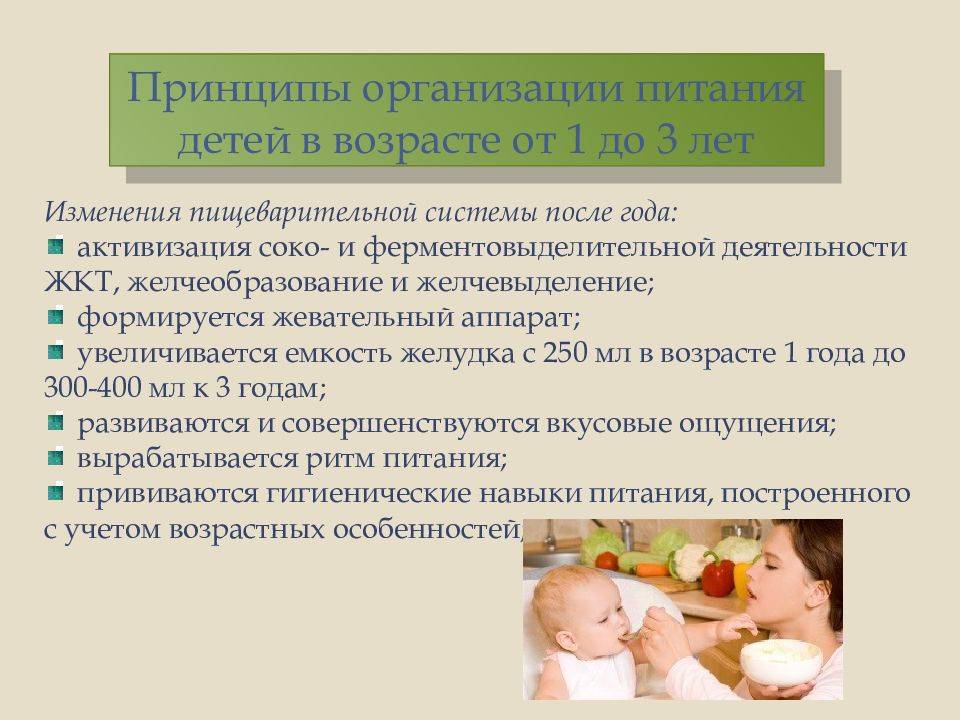 Особенности питания ребенка от 1 до 3 лет