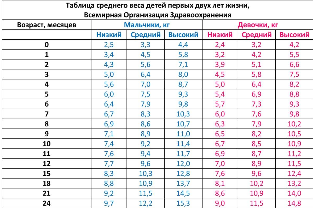 Развитие ребенка от 6 месяцев до года - режим, вес, умения - agulife.ru
