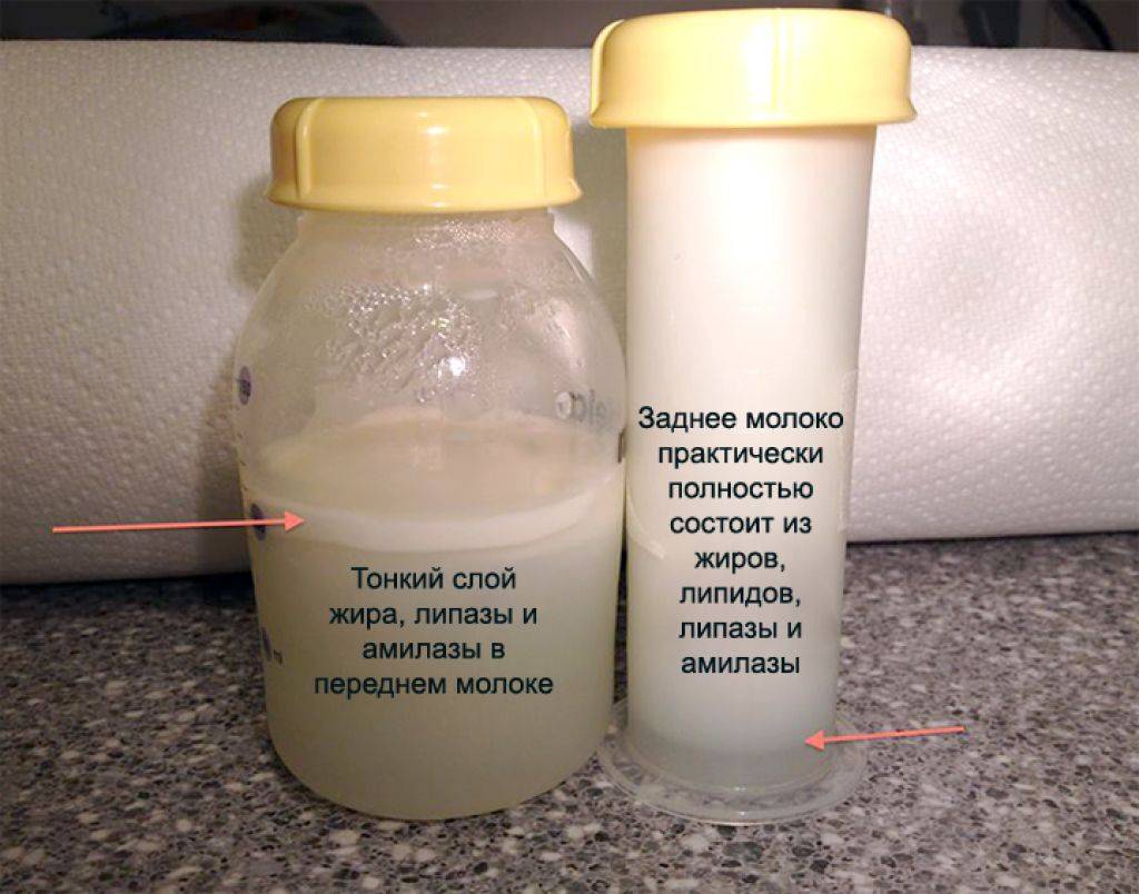 Домашнее молоко: определение качества, время сквашивания