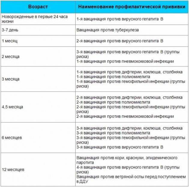 План прививок для детей с рождения к 31