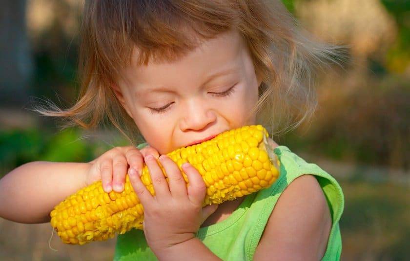 Можно ли детям кукурузу, какую, сколько
