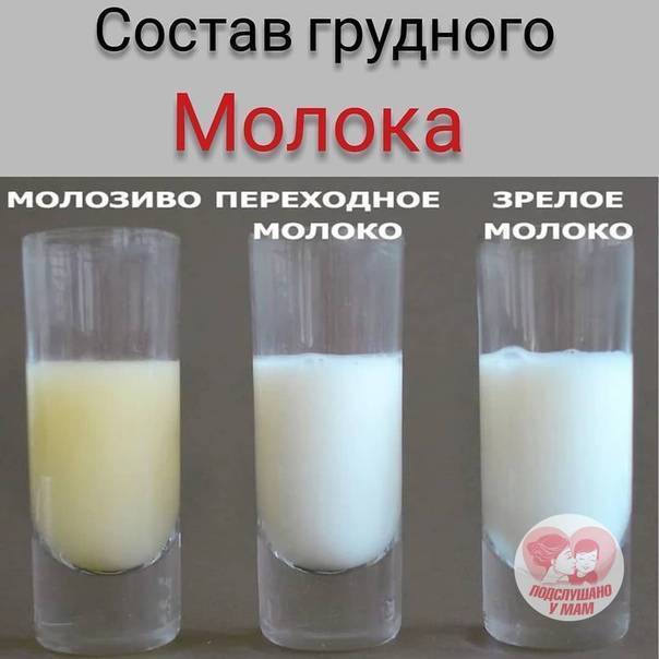 Переднее и заднее молоко. как меняется молоко во время кормления