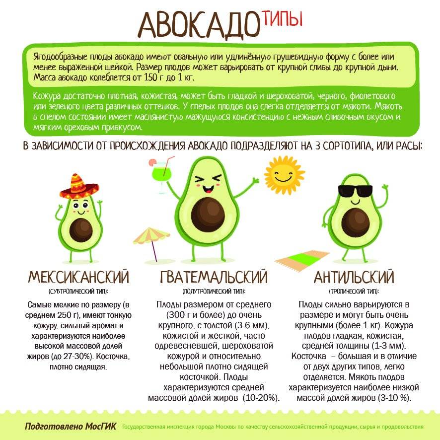 Авокадо при грудном вскармливании: польза