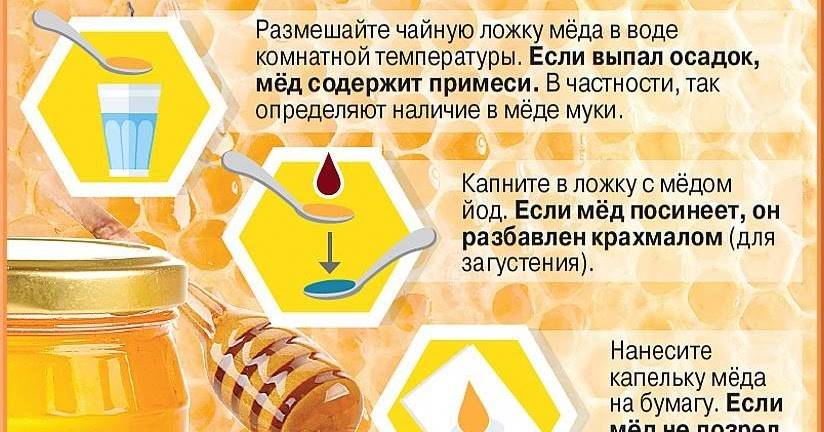 Как проверить мед: популярные способы проверки меда
