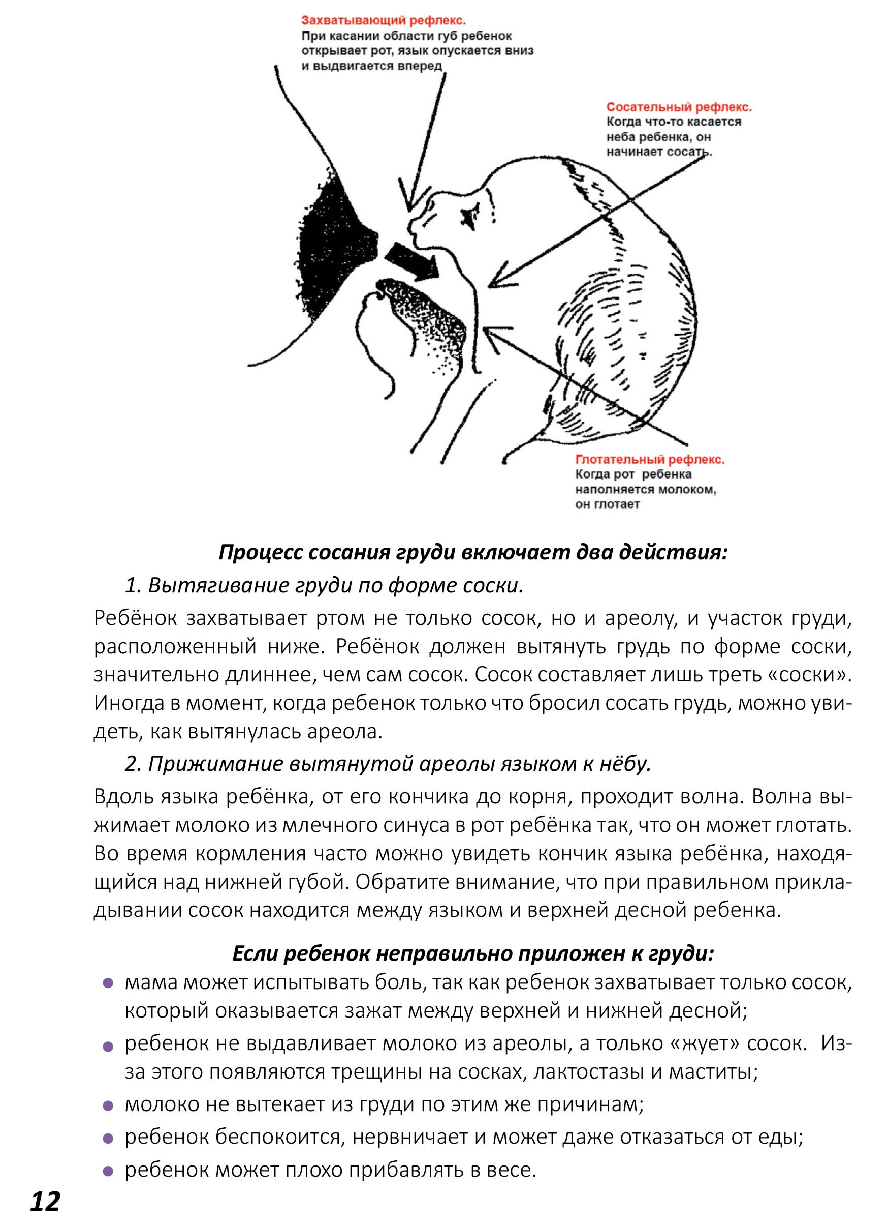 как разминать груди во время беременности фото 12