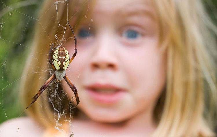Почему ребенок до истерики боится насекомых и как побороть страх, что делать
