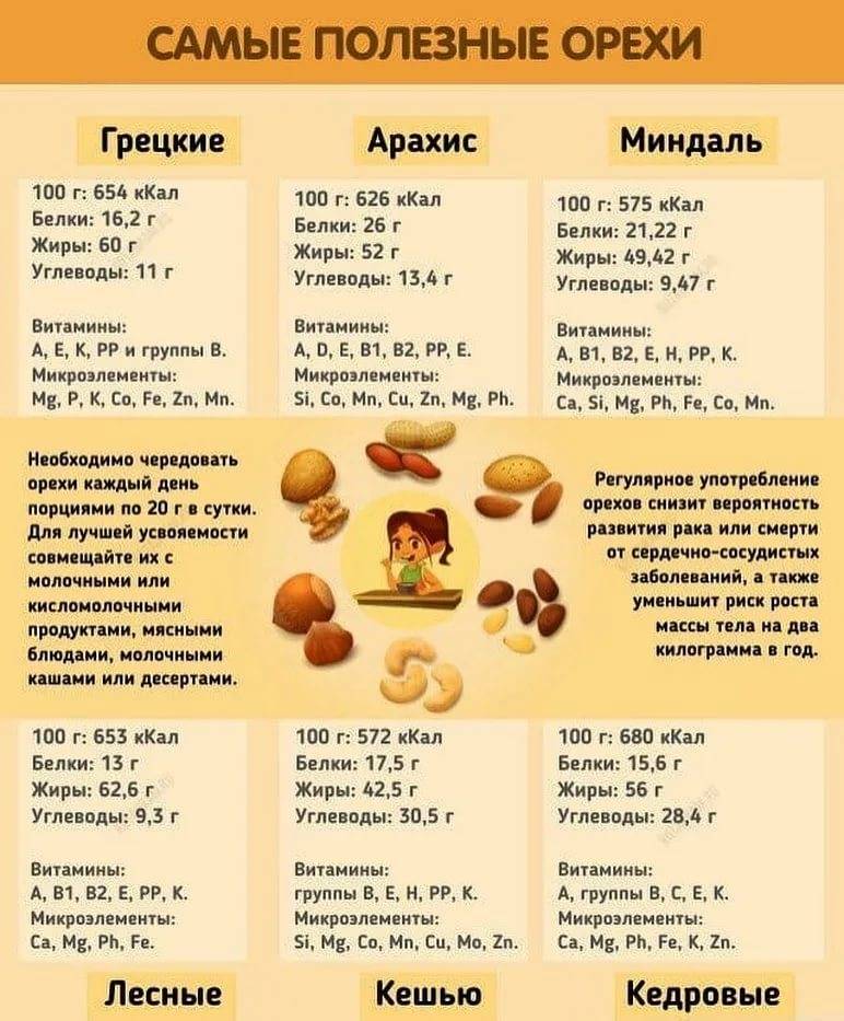 Грецкие орехи при беременности: польза или вред?
