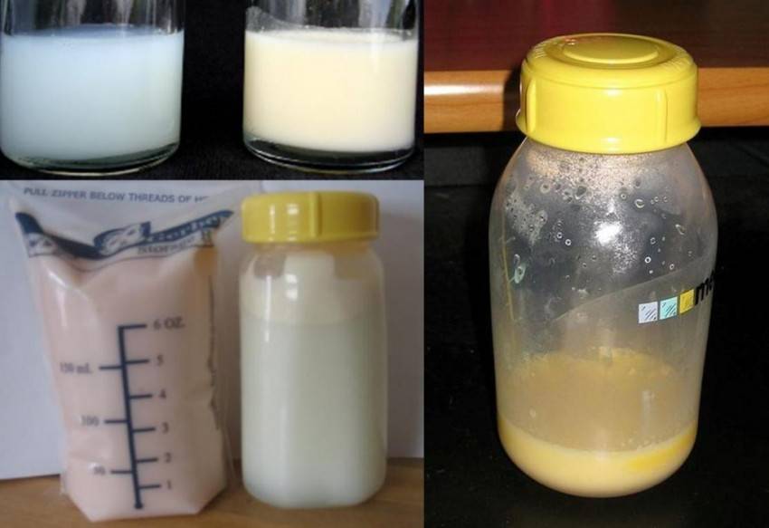 Жирность грудного молока - как быстро проверить жирность и состав грудного молока