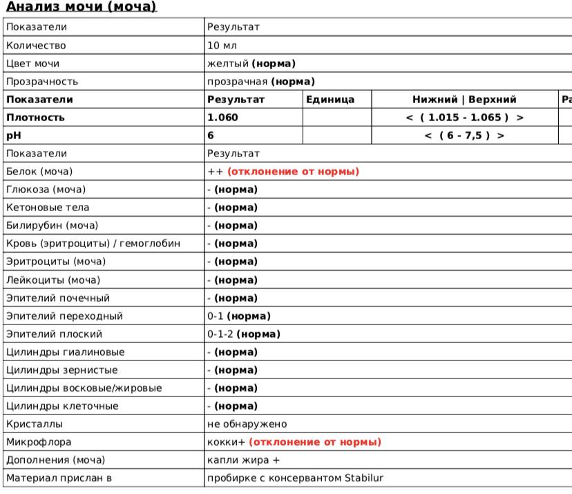 Эпителий в моче повышены. ОАМ эпителий норма. Анализ мочи эпителий норма. Анализ мочи эпителий плоский лейкоциты норма. Анализ мочи эпителий норма у мужчин.
