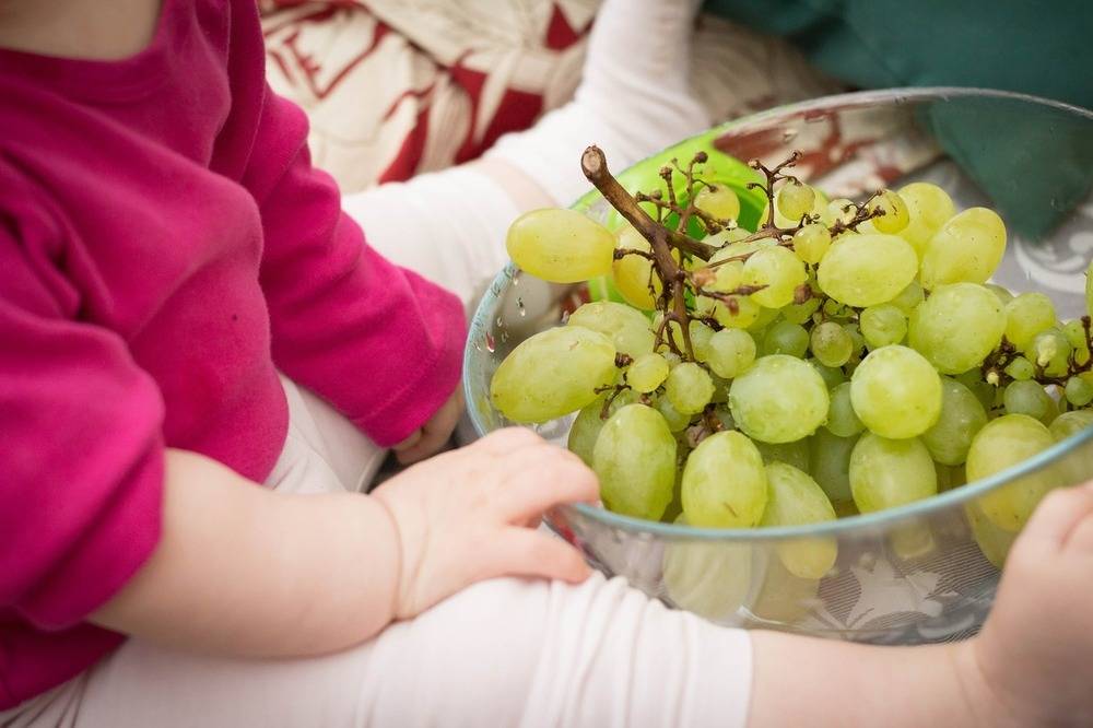 Виноград при грудном вскармливании (гв), можно ли кормящей маме есть зеленые, черные ягоды и пить виноградный сок, кому противопоказано при кормлении грудью