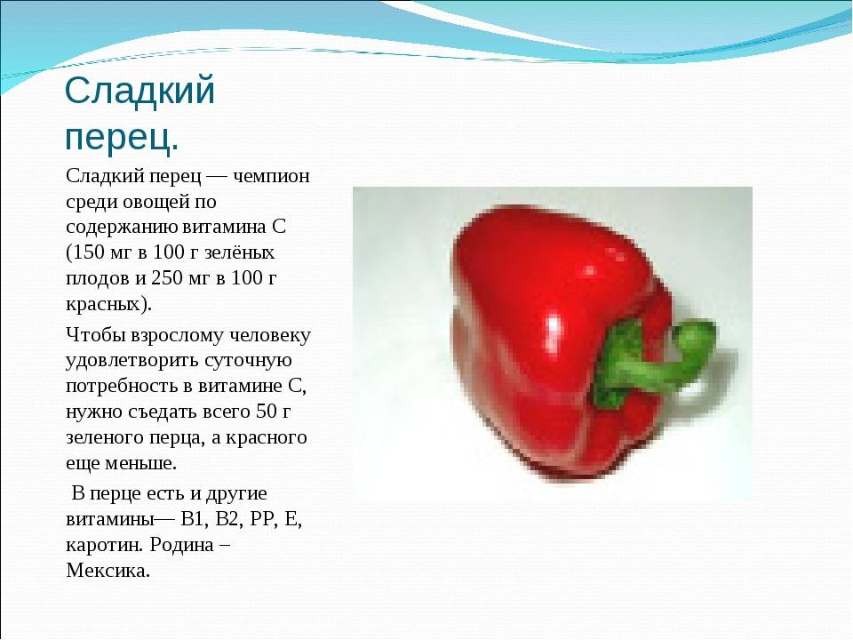 Болгарский перец при беременности